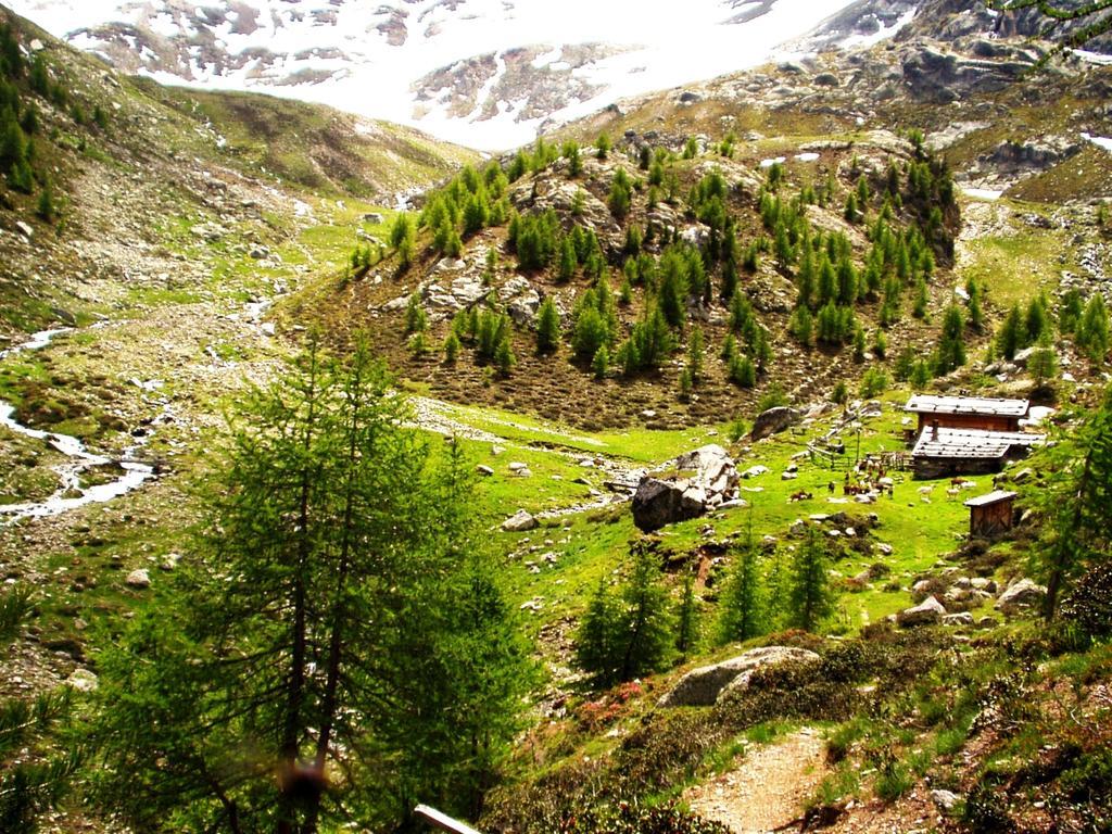Ferienwohnungen Auhaus マルテッロ エクステリア 写真